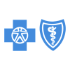 Blue Cross Blue Shield
